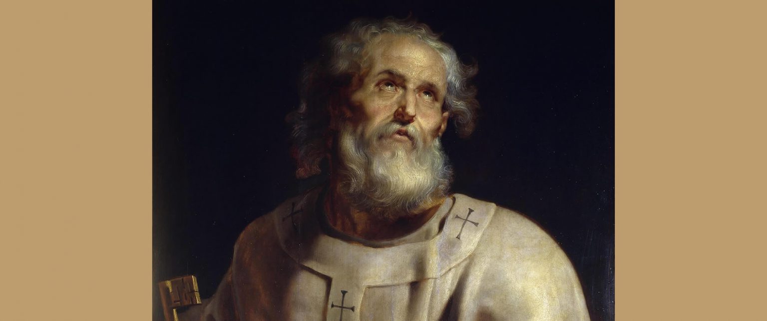 ローマ教皇 教皇フランシスコ訪日公式記録集